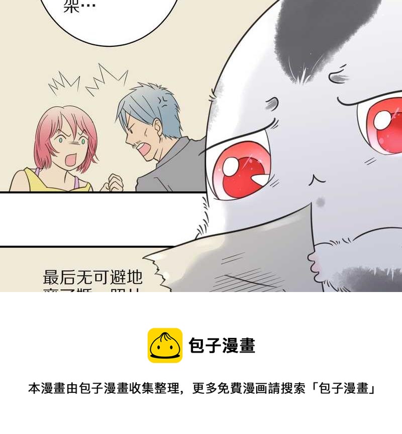 毛球星传说 第26集(1/3)-第26话