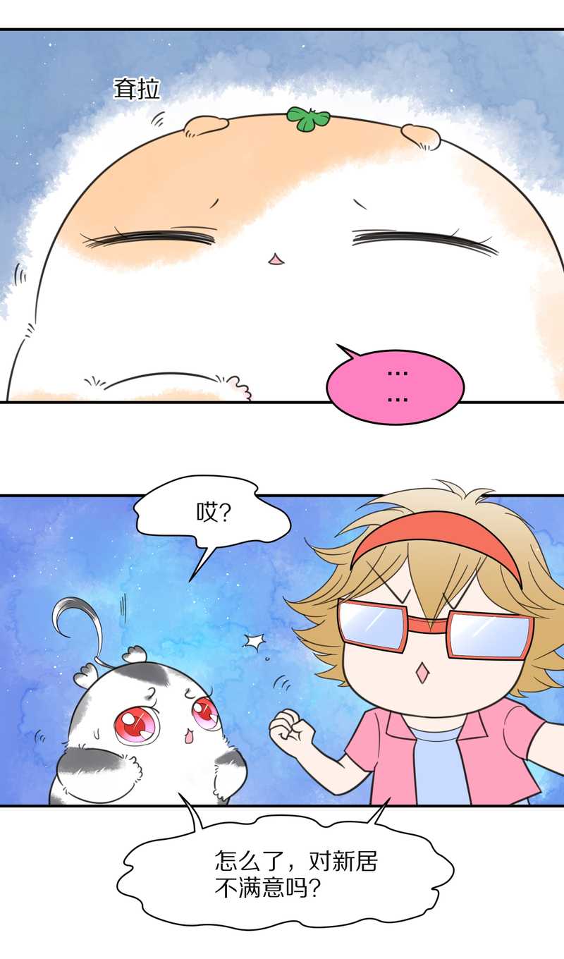 毛球星传说 第26集(1/3)-第26话