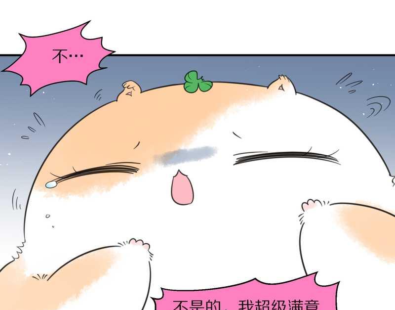 毛球星传说 第26集(1/3)-第26话