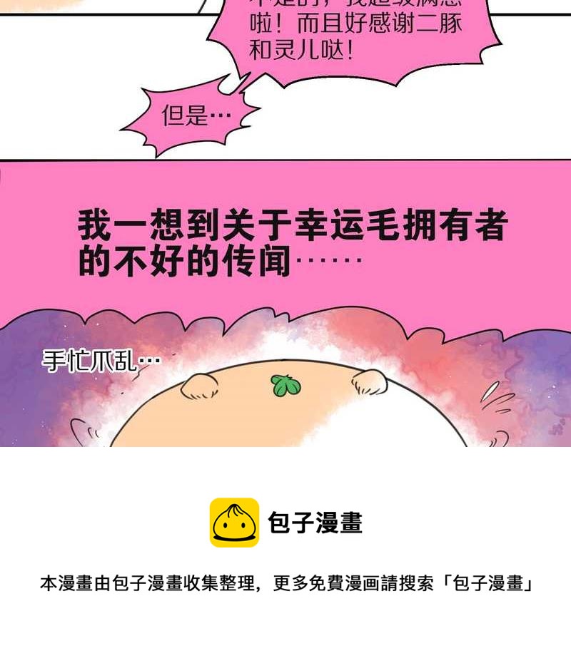毛球星传说 第26集(1/3)-第26话