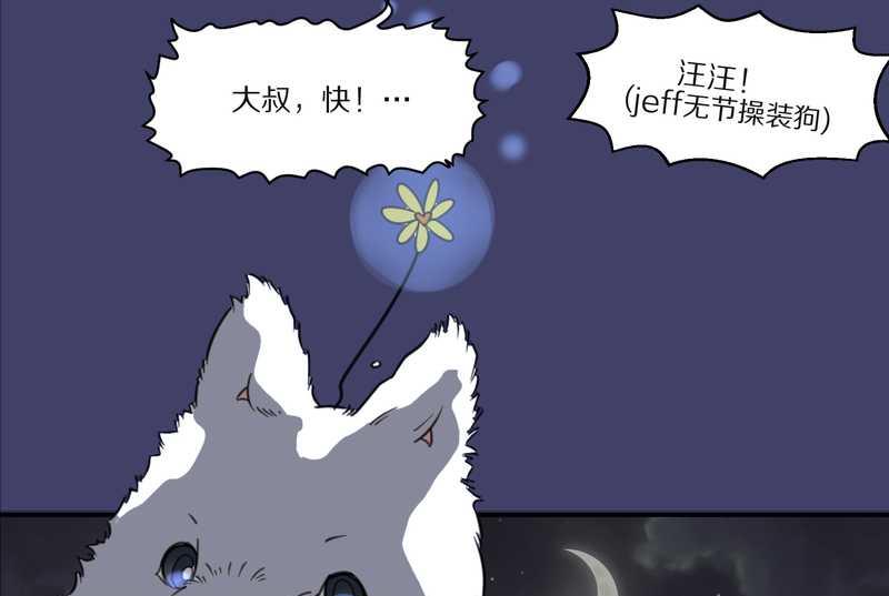 毛球星传说 第28集(1/3)-第28话