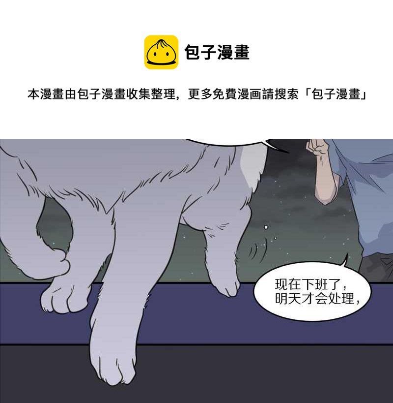 毛球星传说 第28集(1/3)-第28话