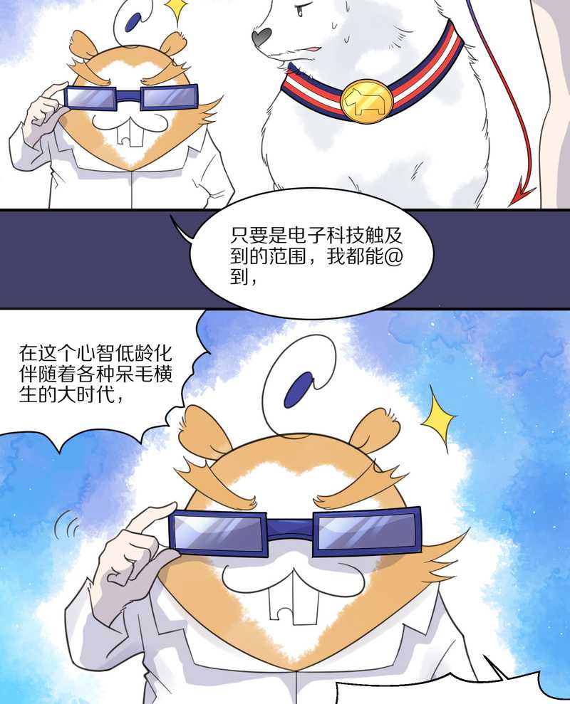 毛球星传说 第28集(1/3)-第28话