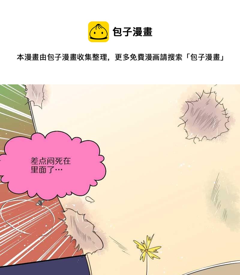 毛球星传说 第28集(1/3)-第28话