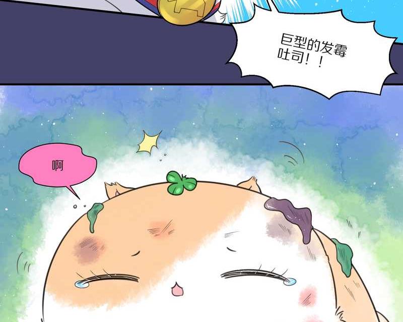 毛球星传说 第28集(1/3)-第28话