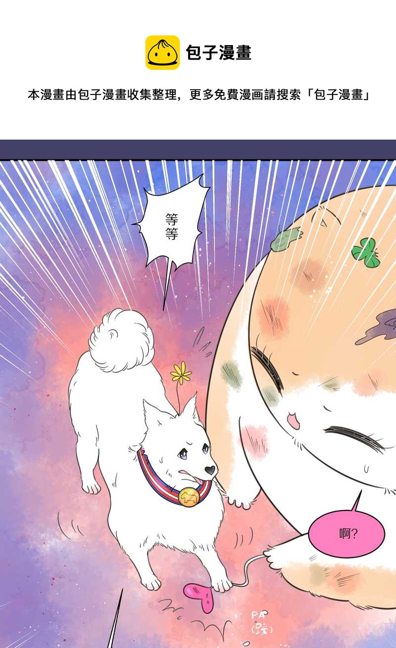 毛球星传说 第28集(1/3)-第28话