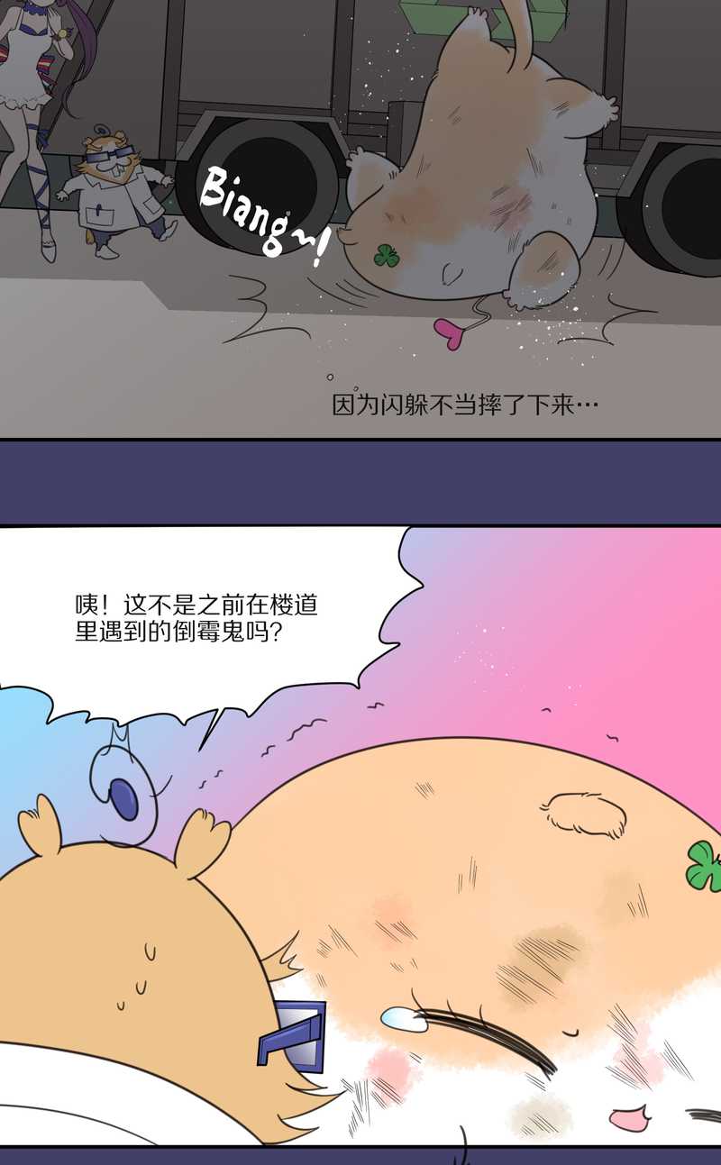 毛球星传说 第28集(1/3)-第28话