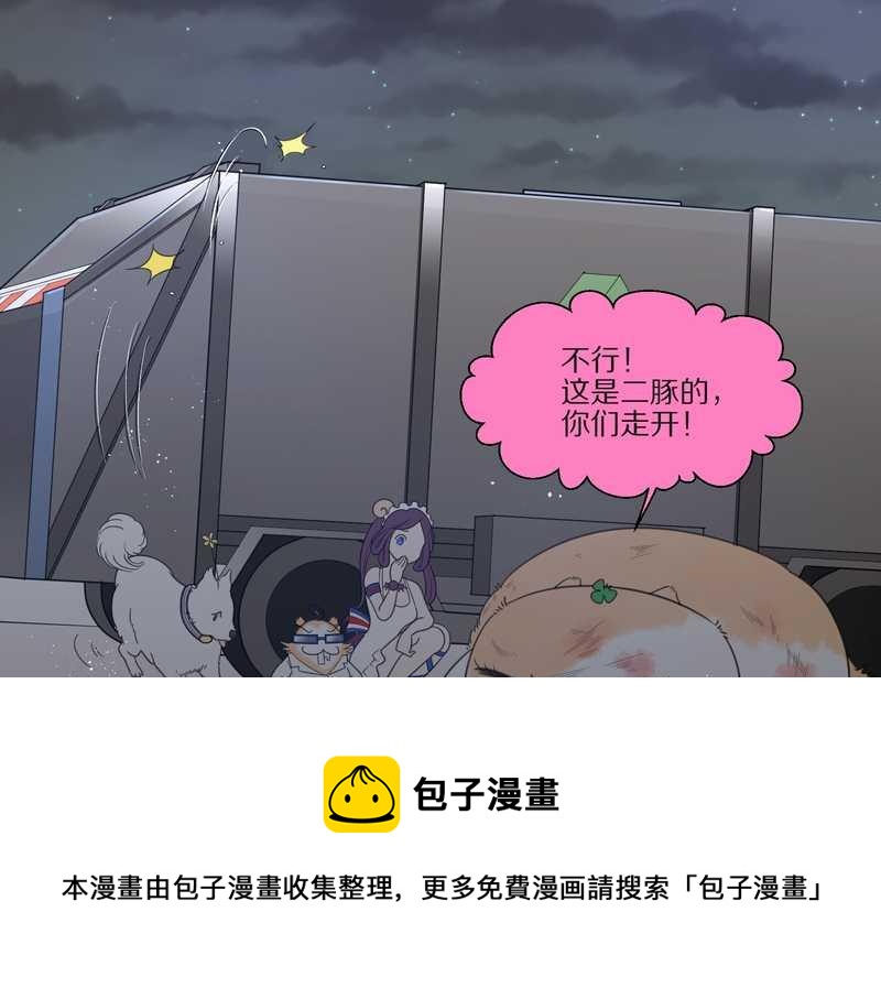 毛球星传说 第28集(1/3)-第28话