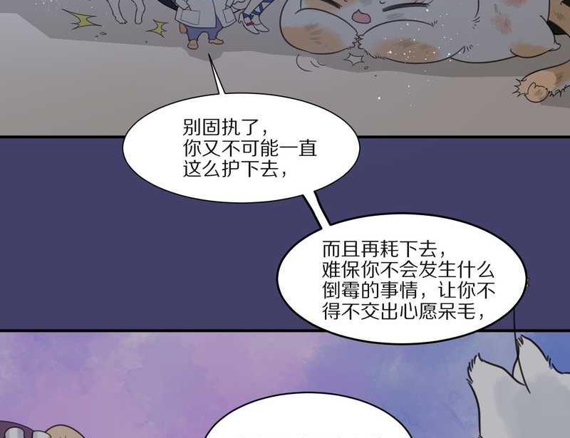 毛球星传说 第28集(1/3)-第28话