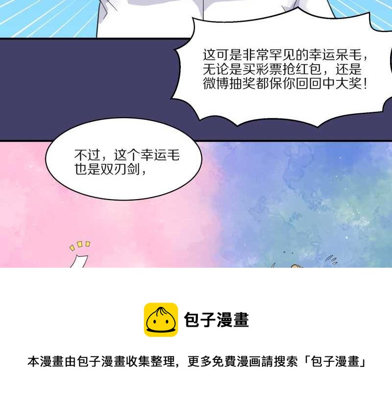 毛球星传说 第28集(1/3)-第28话