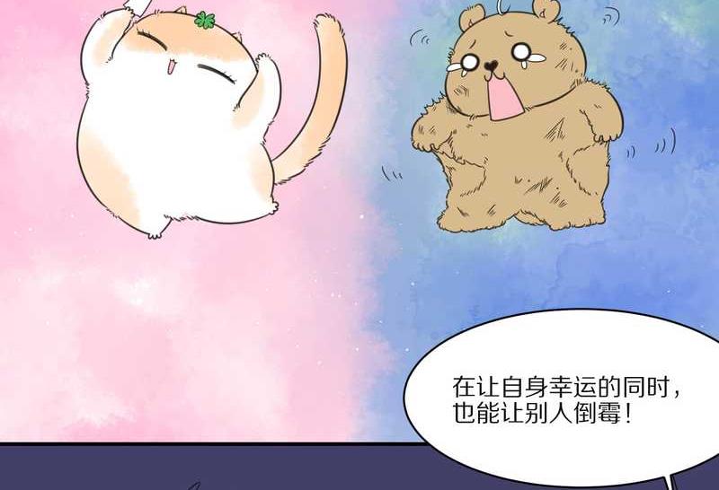 毛球星传说 第28集(1/3)-第28话