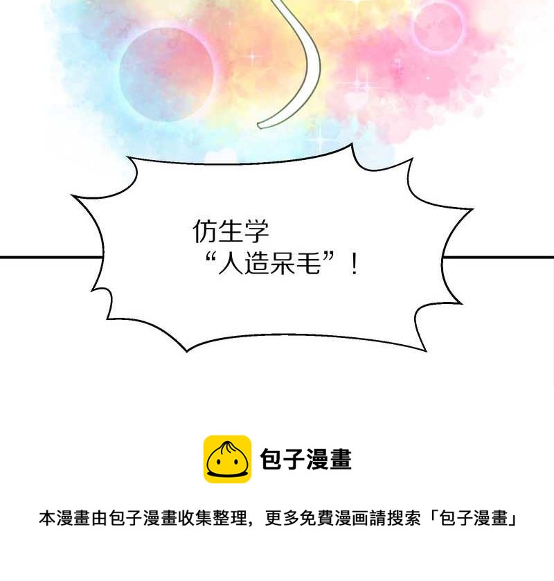 毛球星传说 第30集(1/2)-第30话