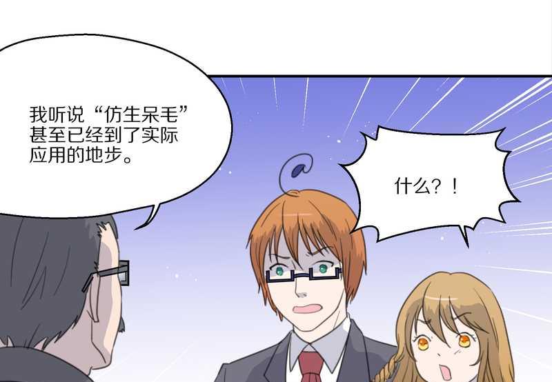 毛球星传说 第30集(1/2)-第30话