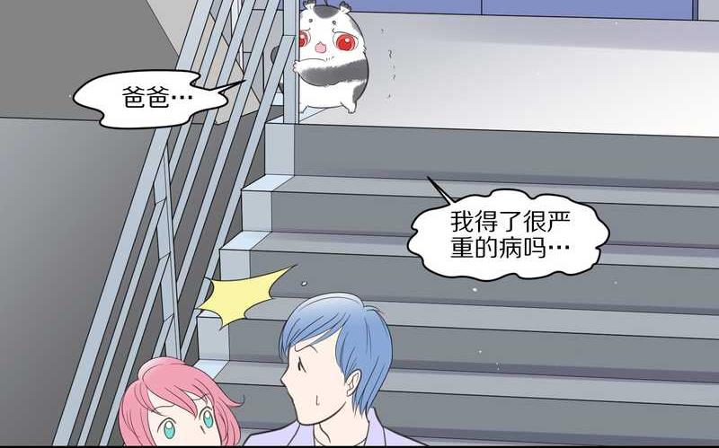 毛球星传说 第30集(1/2)-第30话