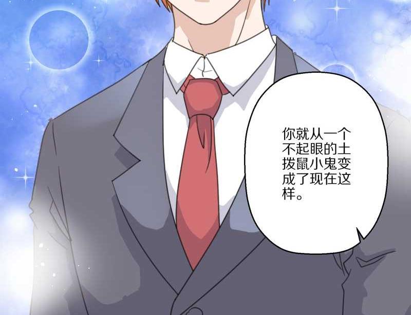 毛球星传说 第30集(1/2)-第30话
