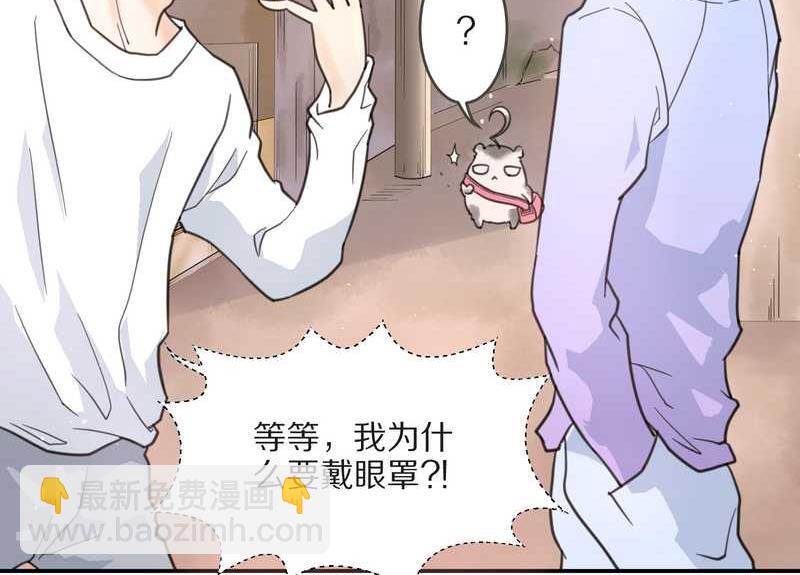 毛球星传说 第4集-第4话