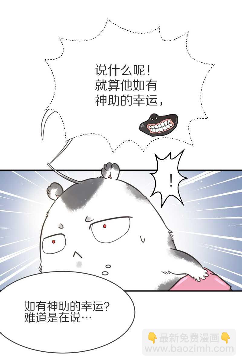 毛球星传说 第4集-第4话