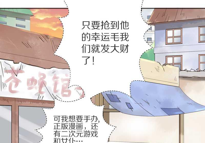 毛球星传说 第4集-第4话