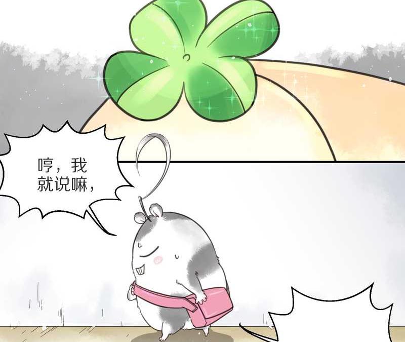毛球星传说 第4集-第4话