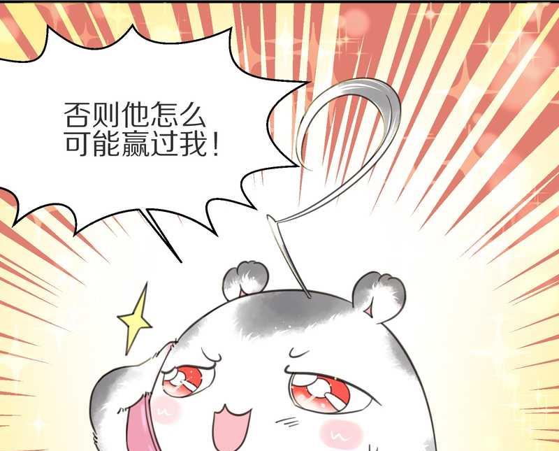 毛球星传说 第4集-第4话
