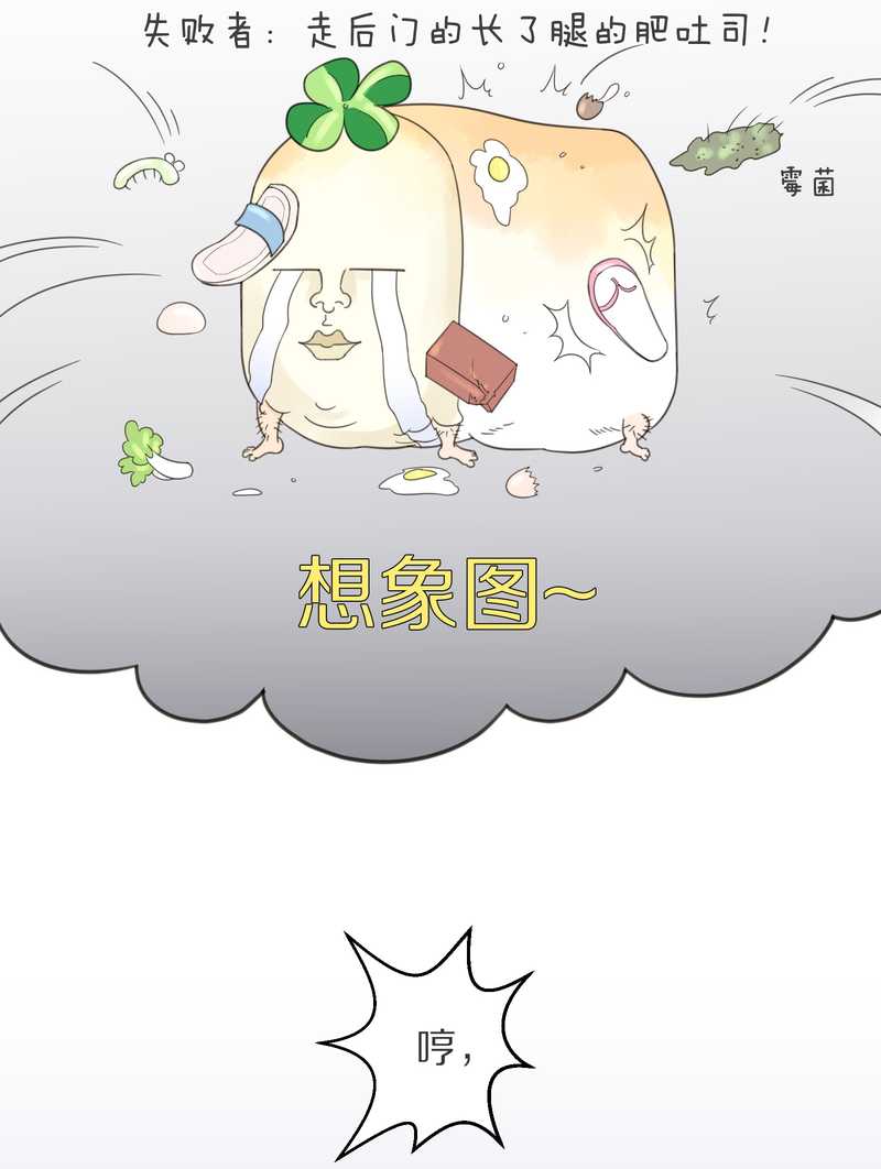 毛球星传说 第4集-第4话
