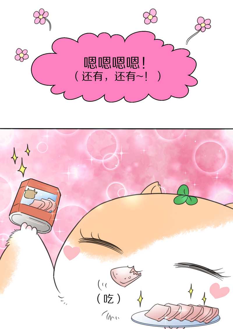 毛球星传说 第32集(1/3)-第32话