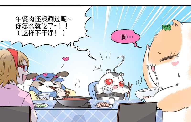 毛球星传说 第32集(1/3)-第32话