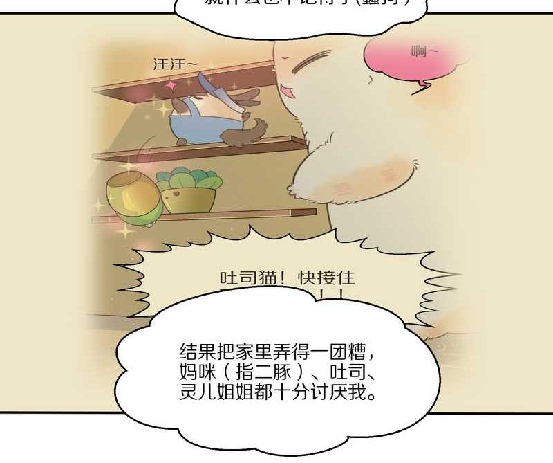 毛球星传说 第32集(1/3)-第32话