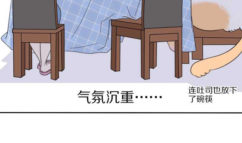 毛球星传说 第32集(1/3)-第32话