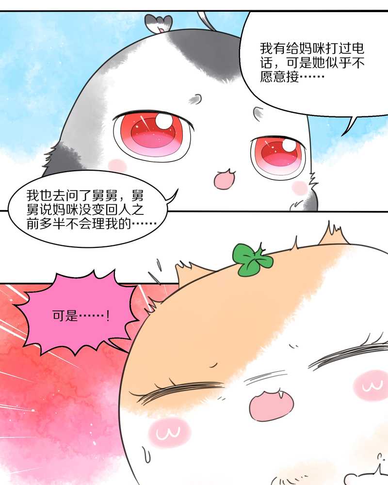 毛球星传说 第32集(1/3)-第32话