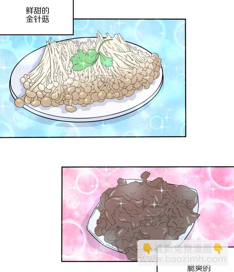 毛球星传说 第32集(1/3)-第32话