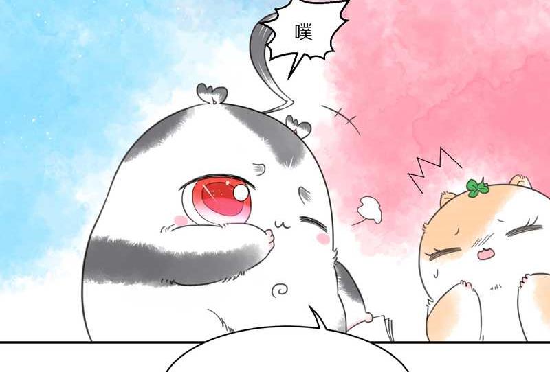 毛球星传说 第32集(1/3)-第32话