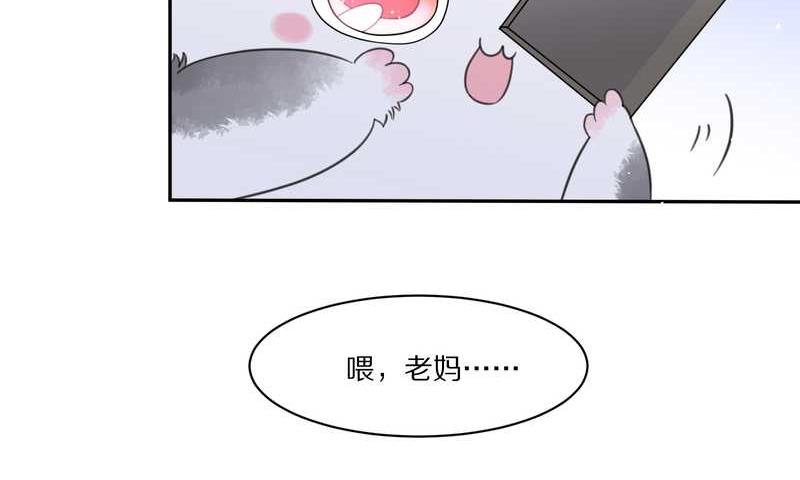 毛球星传说 第32集(1/3)-第32话