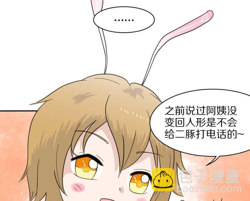 毛球星传说 第32集(1/3)-第32话