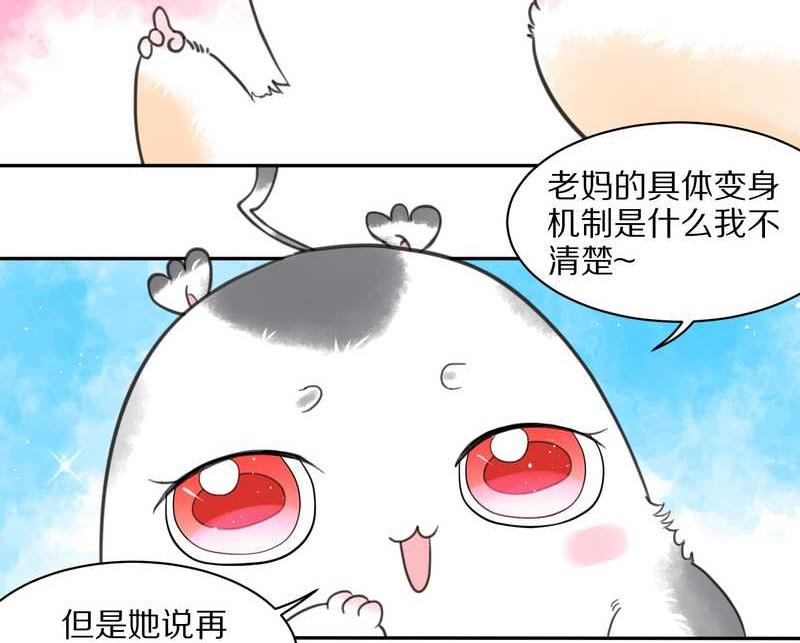毛球星传说 第32集(1/3)-第32话