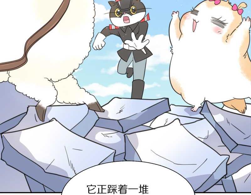毛球星传说 第34集(1/2)-第34话