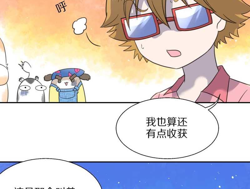 毛球星传说 第34集(1/2)-第34话