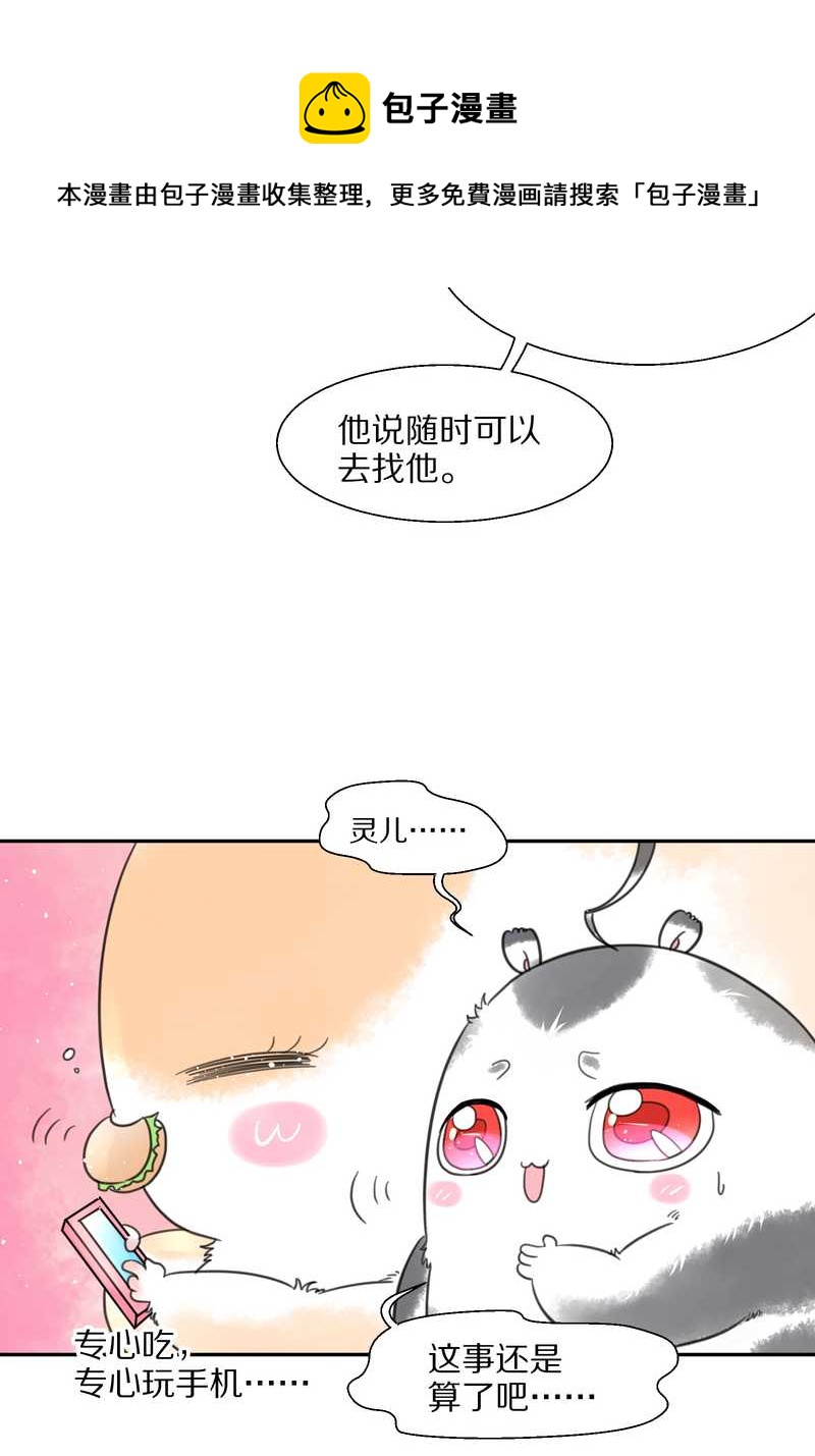 毛球星传说 第34集(1/2)-第34话
