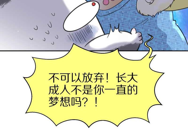 毛球星传说 第34集(1/2)-第34话