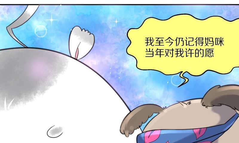 毛球星传说 第34集(1/2)-第34话
