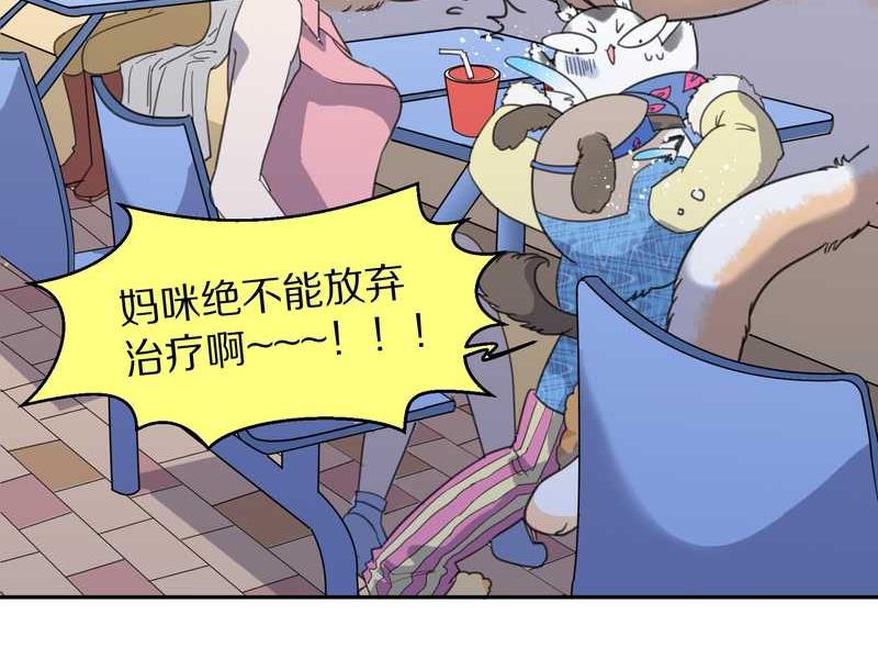 毛球星传说 第34集(1/2)-第34话