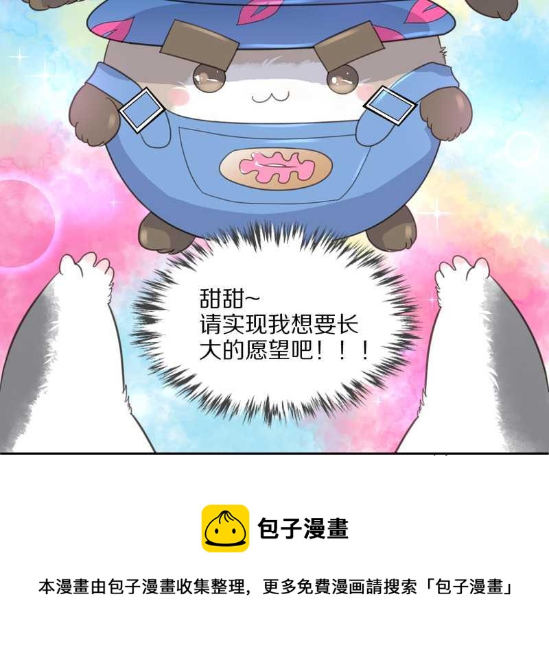 毛球星传说 第34集(1/2)-第34话