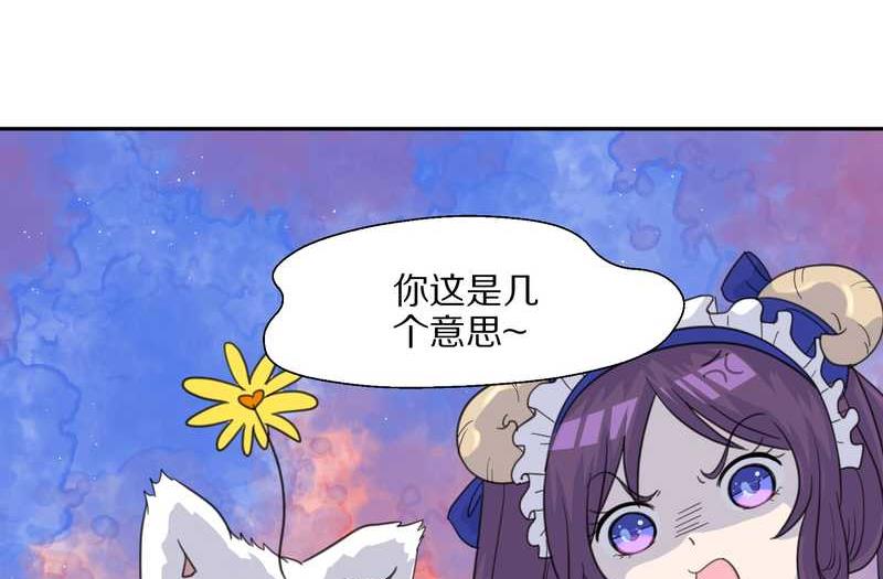 毛球星传说 第36集-第36话