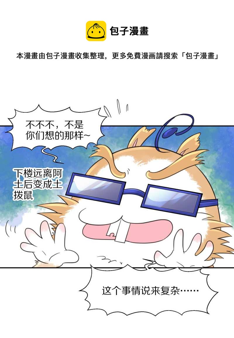 毛球星传说 第36集-第36话