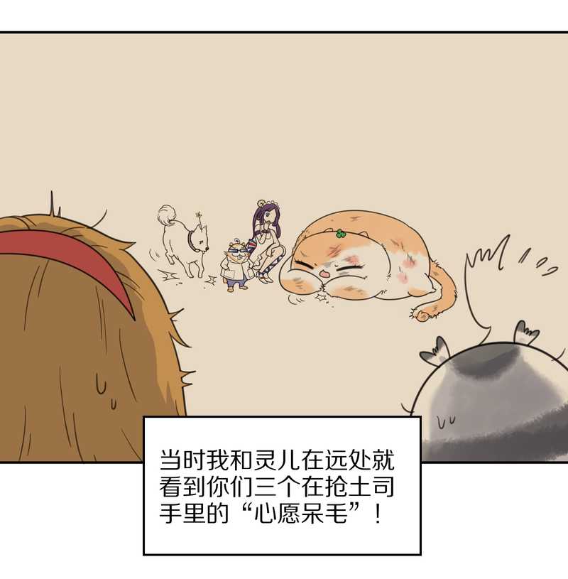 毛球星传说 第36集-第36话