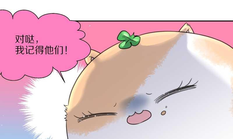 毛球星传说 第36集-第36话