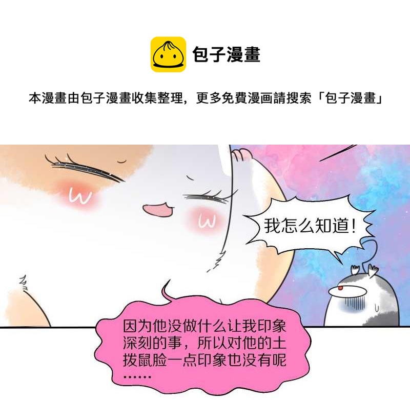 毛球星传说 第36集-第36话