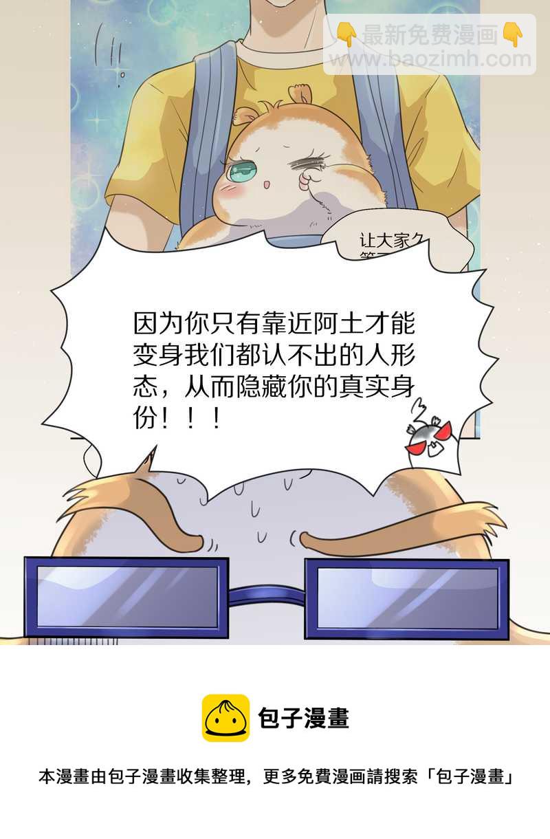 毛球星传说 第36集-第36话