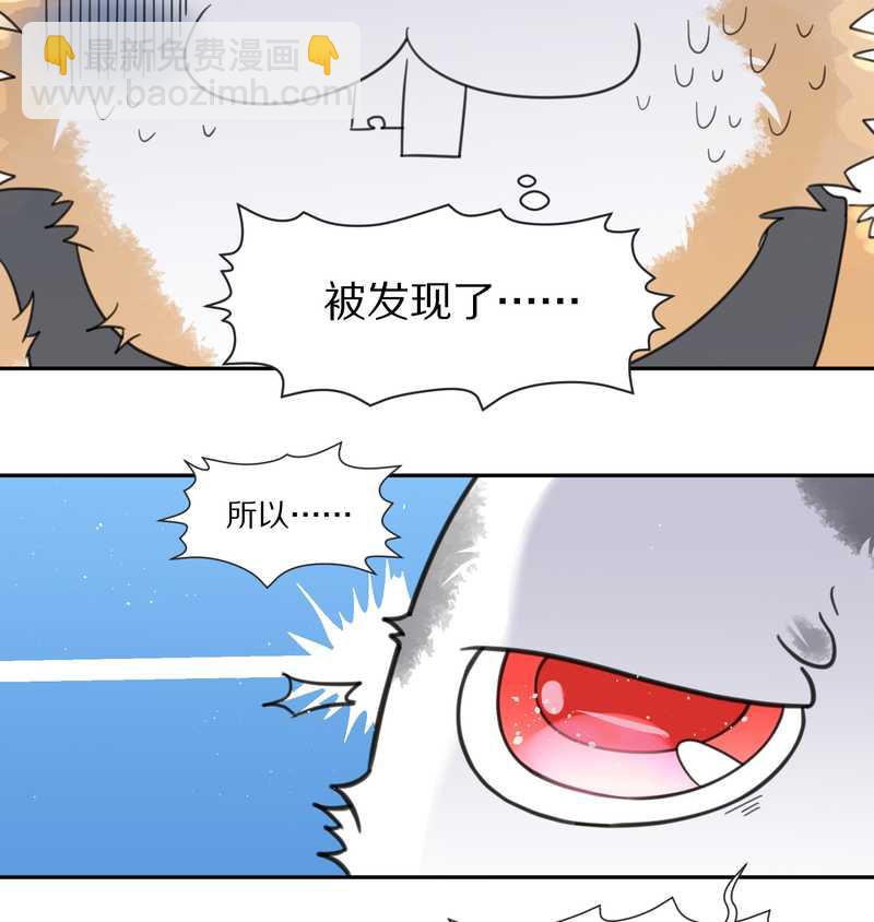 毛球星传说 第36集-第36话