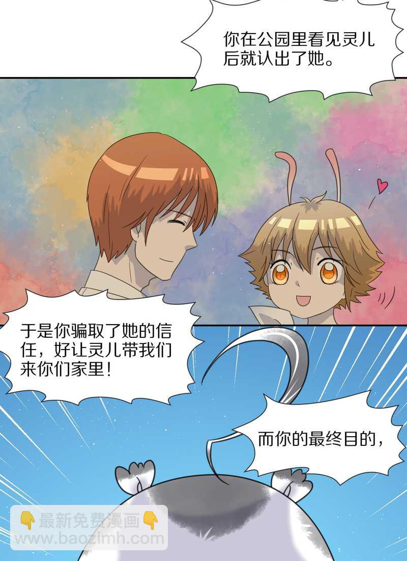 毛球星传说 第36集-第36话